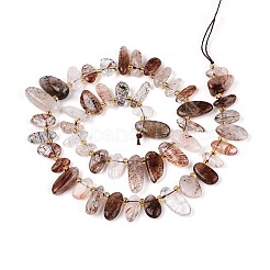 Natural Black Gold Rutilated Quartz Beads Strands&nbsp;G-Z091-A29