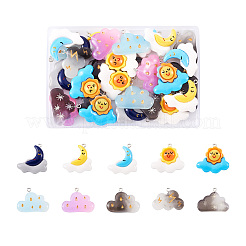 40Pcs 10 Style Opaque Resin Pendants&nbsp;RESI-KS0001-12