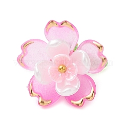 Transparent Acrylic Pendants&nbsp;PALLOY-MZ00822