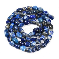 Natural Lapis Lazuli Beads Strands&nbsp;G-P497-01B-14