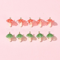 10Pcs 2 Colors Plastic Pendants&nbsp;KY-FS0001-32