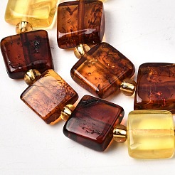 Natural Amber Beads Strands&nbsp;G-C260-A01-05