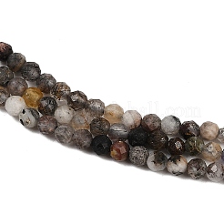 Natural Black Rutilated Quartz Beads Strands&nbsp;G-RM250104-C3