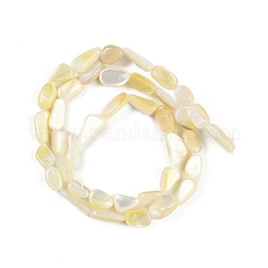 Natural Trochus Shell Beads Strands&nbsp;BSHE-H109-05