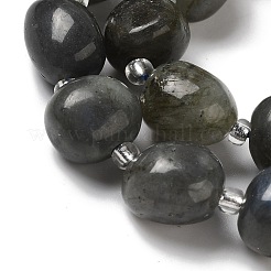Natural Larvikite Beads Strands&nbsp;G-Q169-E05-01