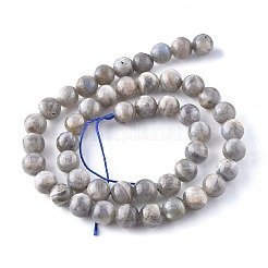Natural Labradorite Beads Strands&nbsp;G-G212-8mm-23