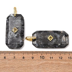 Natural Labradorite Pendants&nbsp;GG-CBA51ED-05G-02
