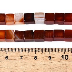 Natural Red Agate(Dyed & Heated) Beads Strands&nbsp;G-T139-6x6-35A