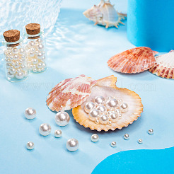 170Pcs Glass Pearl Beads&nbsp;HY-TA0003-03