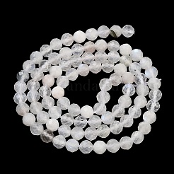 Natural Rainbow Moonstone Beads Strands&nbsp;G-P500-01C-01A