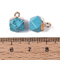 Dyed Synthetic Turquoise Pendants&nbsp;G-N359-18G-21
