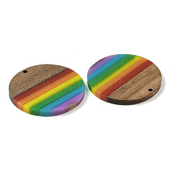 Pride Rainbow Theme Resin & Walnut Wood Pendants&nbsp;WOOD-K012-07B