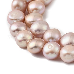 Natural Cultured Freshwater Pearl Beads Strands&nbsp;PEAR-P064-19I-03C