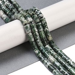 Natural Green Spot Jasper Beads Strands&nbsp;G-C128-A17-01