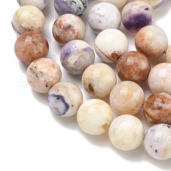 Natural Purple Opal Beads Strands&nbsp;G-L642-B21-10mm