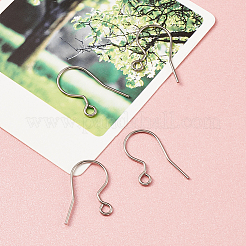 304 Stainless Steel Earring Hooks&nbsp;STAS-TAC0002-01P