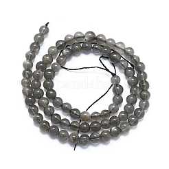 Natural Grey Moonstone Beads Strands&nbsp;G-A245-A05-01