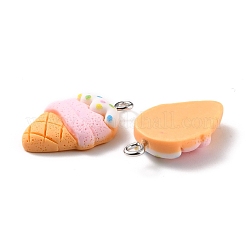 Resin Pendants&nbsp;RESI-C002-03