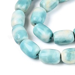 Dyed Natural Agate Beads Strands&nbsp;G-T144-51A-01