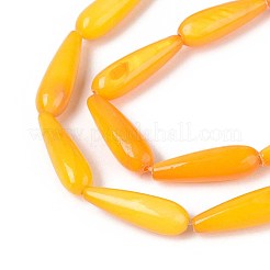Natural Freshwater Shell Beads Strands&nbsp;SHEL-A004-03D
