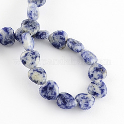 Natural Blue Spot Jasper Bead Strands&nbsp;G-R190-04