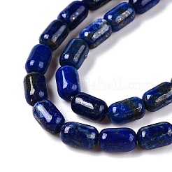 Natural Lapis Lazuli Dyed Beads Strands&nbsp;G-G980-39