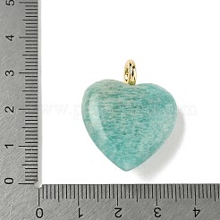Natural Amazonite Pendants&nbsp;G-P585-03G-10