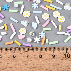 Handmade Polymer Clay Cabochons&nbsp;CLAY-N013-20
