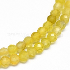 Natural Dyed & Heated Yellow Agate Beads Strands&nbsp;G-O180-05C