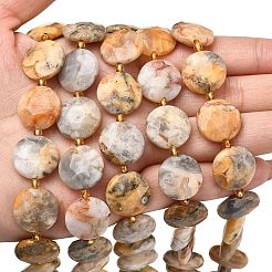 Natural Crazy Agate Beads Strands&nbsp;G-A292-A05-01