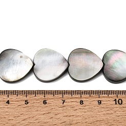 Natural Black Lip Shell Beads Strands&nbsp;BSHE-D300-06C
