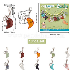 10Pcs 10 Style Moon Shape Gemstone Pendant Decorations&nbsp;HJEW-PH01619