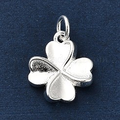 925 Sterling Silver Charms&nbsp;FIND-Z069-04S-C