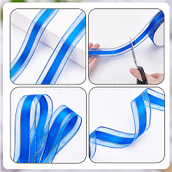 Polyester Ribbon&nbsp;OCOR-WH0110-42B