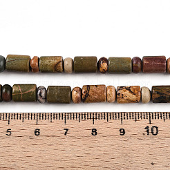 Natural Picasso Jasper/Polychrome Jasper Beads Strands&nbsp;G-N346-03A-05