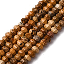 Natural Picture Jasper Beads Strands&nbsp;G-P587-D12-01