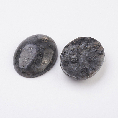 Natural Larvikite Flat Back Cabochons&nbsp;G-G741-30x40mm-04-1