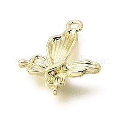 Alloy Pendants&nbsp;PALLOY-B016-01B-G