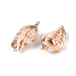 Natural Sea Shell Pendants&nbsp;SSHEL-N038-31