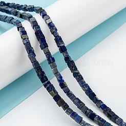 Natural Lapis Lazuli Beads Strands&nbsp;G-F631-K05