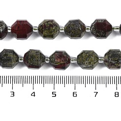 Natural Dragon Blood Beads Strands&nbsp;G-O201B-138G