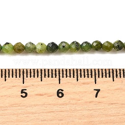 Natural Canadian Jade Beads Strands&nbsp;G-G259-D01-3mm