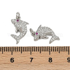 Brass Micro Pave Cubic Zirconia Pendants&nbsp;KK-L241-13P