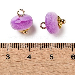 Alloy & Flocky Charms&nbsp;FIND-Z121-04G-04