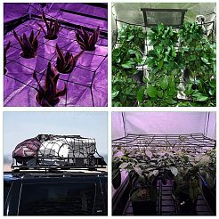 Elastic Trellis Netting&nbsp;AJEW-WH0113-68