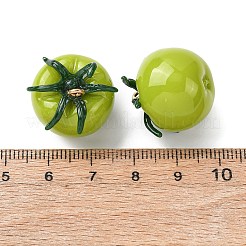 Imitation Vegetable Resin Pendants&nbsp;LS-RESI-K033-03B-02