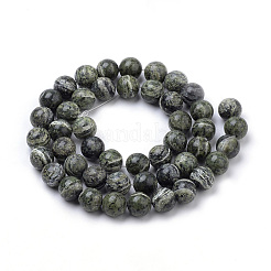 Natural Green Zebra Jasper Beads Strands&nbsp;G-S259-34-8mm