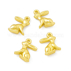 Rack Plating Alloy Charms&nbsp;FIND-G045-30MG