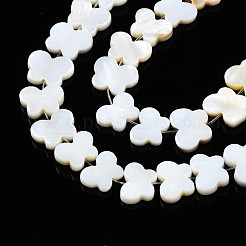 Natural Freshwater Shell Beads Strands&nbsp;SHEL-Q024-011