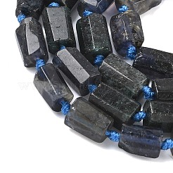 Natural Iolite Beads Strands&nbsp;G-C270-K06